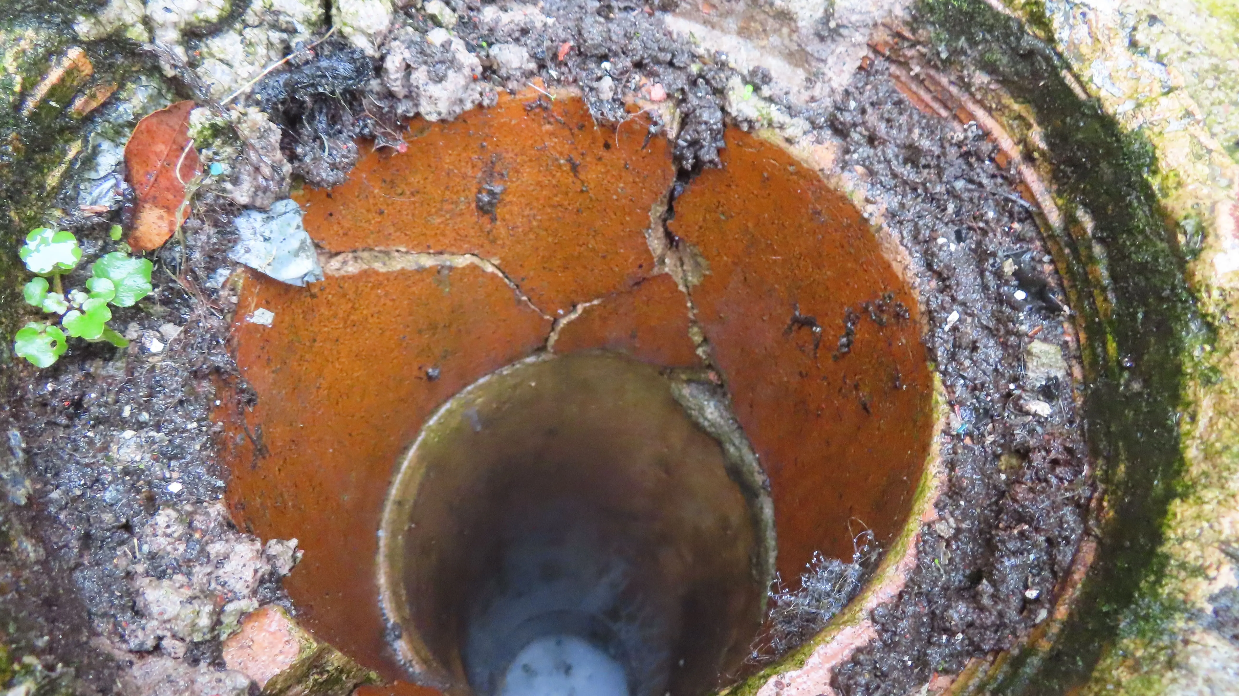 Rainwater goods and drainage inspected during a property survey